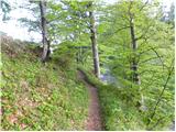Bučan - Lokovnikov Grintovec / Grintoutz